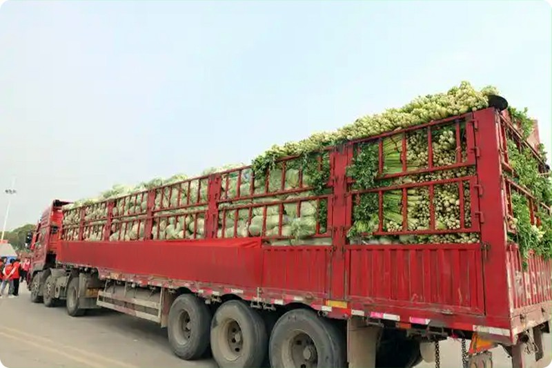 Fence semi trailer prepared for transporting agricultural products during harvest season