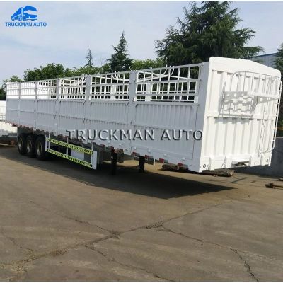 Cargo Semi Trailer
