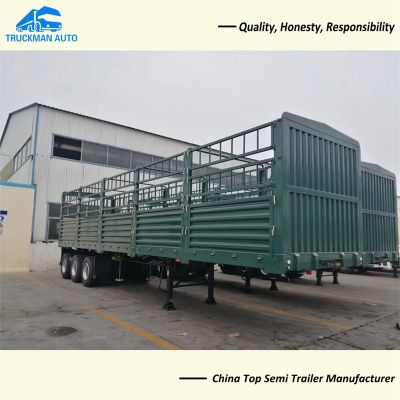 Cargo Semi Trailer